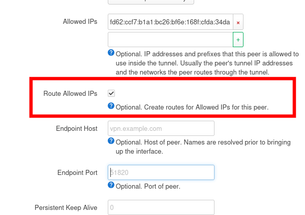 Enabling the Route Allowed IPs
setting